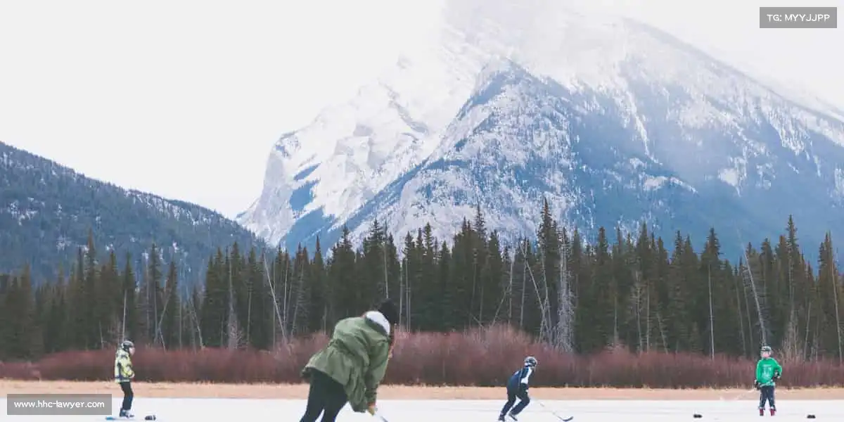 我们的核心竞争力